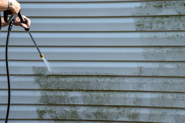 Best Yard Waste Removal  in Binghamton, NY