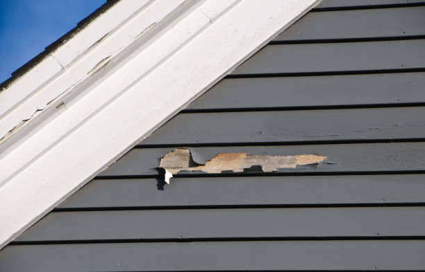 Shed Removal in Binghamton, NY